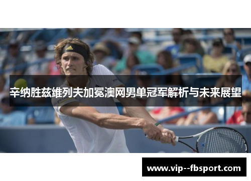 辛纳胜兹维列夫加冕澳网男单冠军解析与未来展望
