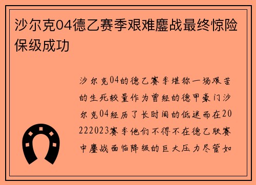 沙尔克04德乙赛季艰难鏖战最终惊险保级成功 沙尔克04德乙赛季艰难鏖战最终惊险保级成功