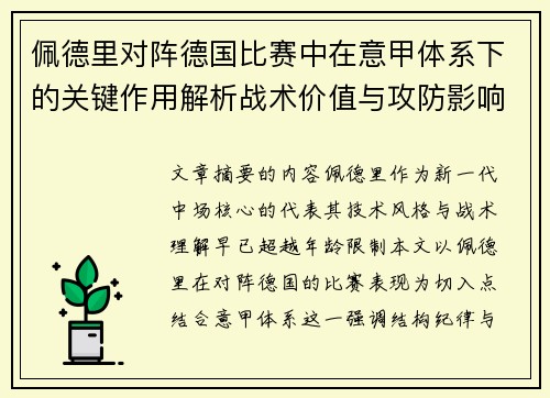 佩德里对阵德国比赛中在意甲体系下的关键作用解析战术价值与攻防影响